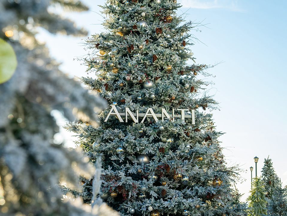 2024 ANANTI